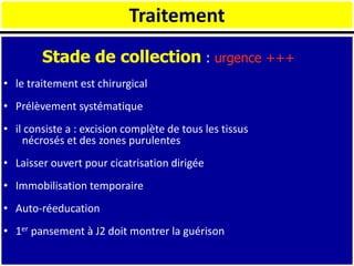 Traitement
Stade de collection : urgence +++
• le traitement est chirurgical
• Prélèvement systématique
• il consiste a : excision complète de tous les tissus
nécrosés et des zones purulentes
• Laisser ouvert pour cicatrisation dirigée
• Immobilisation temporaire
• Auto-réeducation
• 1er pansement à J2 doit montrer la guérison
 
