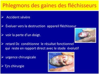  Accident sévère
 Évoluer vers la destruction appareil fléchisseur
 voir la perte d’un doigt.
 retard Dc conditionne le résultat fonctionnel
qui reste en rapport direct avec le stade évolutif
 urgence chirurgicale
 Tjrs chirurgie
Phlegmons des gaines des fléchisseurs
 