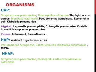 ORGANISMS
CAP:
Streptococcus pneumoniae, Haemophilus influenzae Staphylococcus
aureus, Moraxella catarrhalis, Pseudomonas aeruginosa, Escherichia
coli, Klebsiella pneumoniae ,
Atypical: Legionella pneumophilia, Chlamydia pneumoniae, Coxiella
burnetti, Mycoplasma pneumoniae
Viruses: Influenza A, Parainfluenza .
HAP: resistant organisms such as
Pseudomonas aeruginosa, Escherichia coli, Klebsiella pneumoniae ,
MRSA,
NHAP:
Streptococcus pneumoniae, haemophilus influenzae,Moraxella
catarrhalis
 