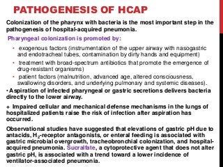PATHOGENESIS OF HCAP
Colonization of the pharynx with bacteria is the most important step in the
pathogenesis of hospital-acquired pneumonia.
Pharyngeal colonization is promoted by:
• exogenous factors (instrumentation of the upper airway with nasogastric
and endotracheal tubes, contamination by dirty hands and equipment)
• treatment with broad-spectrum antibiotics that promote the emergence of
drug-resistant organisms)
• patient factors (malnutrition, advanced age, altered consciousness,
swallowing disorders, and underlying pulmonary and systemic diseases).
• Aspiration of infected pharyngeal or gastric secretions delivers bacteria
directly to the lower airway.
+ Impaired cellular and mechanical defense mechanisms in the lungs of
hospitalized patients raise the risk of infection after aspiration has
occurred.
Observational studies have suggested that elevations of gastric pH due to
antacids, H2-receptor antagonists, or enteral feeding is associated with
gastric microbial overgrowth, tracheobronchial colonization, and hospital-
acquired pneumonia. Sucralfate, a cytoprotective agent that does not alter
gastric pH, is associated with a trend toward a lower incidence of
ventilator-associated pneumonia.
 