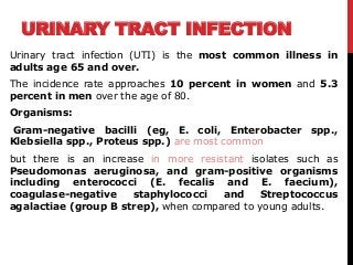 URINARY TRACT INFECTION
Urinary tract infection (UTI) is the most common illness in
adults age 65 and over.
The incidence rate approaches 10 percent in women and 5.3
percent in men over the age of 80.
Organisms:
Gram-negative bacilli (eg, E. coli, Enterobacter spp.,
Klebsiella spp., Proteus spp.) are most common
but there is an increase in more resistant isolates such as
Pseudomonas aeruginosa, and gram-positive organisms
including enterococci (E. fecalis and E. faecium),
coagulase-negative staphylococci and Streptococcus
agalactiae (group B strep), when compared to young adults.
 