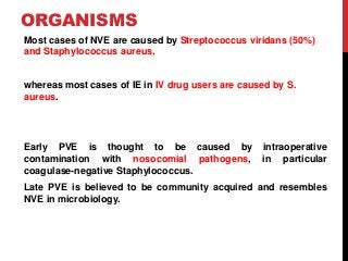 ORGANISMS
Most cases of NVE are caused by Streptococcus viridans (50%)
and Staphylococcus aureus,
whereas most cases of IE in IV drug users are caused by S.
aureus.
Early PVE is thought to be caused by intraoperative
contamination with nosocomial pathogens, in particular
coagulase-negative Staphylococcus.
Late PVE is believed to be community acquired and resembles
NVE in microbiology.
 