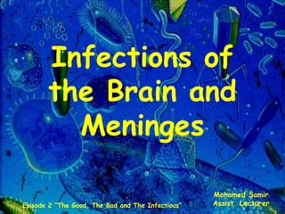Infections of
the Brain and
Meninges
Mohamed Samir
Assist. LecturerEpisode 2 “The Good, The Bad and The Infectious”
 