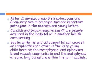   After S. aureus, group B streptococcus and
    Gram-negative microorganisms are important
    pathogens in the neonate and young infant.
   Candida and Gram-negative bacilli are usually
    acquired in the hospital or in another health
    care setting.
   Septic arthritis and osteomyelitis can coexist
    or complicate each other in the very young
    child because the metaphyseal and epiphyseal
    blood vessels communicate and the metaphyses
    of some long bones are within the joint capsule.
 