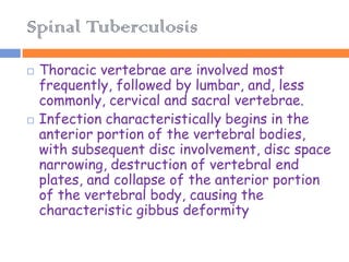Spinal Tuberculosis
   Thoracic vertebrae are involved most
    frequently, followed by lumbar, and, less
    commonly, cervical and sacral vertebrae.
   Infection characteristically begins in the
    anterior portion of the vertebral bodies,
    with subsequent disc involvement, disc space
    narrowing, destruction of vertebral end
    plates, and collapse of the anterior portion
    of the vertebral body, causing the
    characteristic gibbus deformity
 