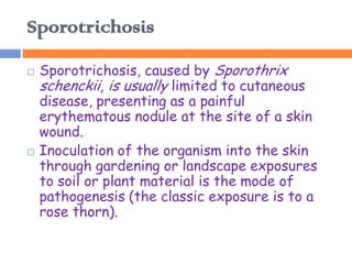 Sporotrichosis
   Sporotrichosis, caused by Sporothrix
    schenckii, is usually limited to cutaneous
    disease, presenting as a painful
    erythematous nodule at the site of a skin
    wound.
   Inoculation of the organism into the skin
    through gardening or landscape exposures
    to soil or plant material is the mode of
    pathogenesis (the classic exposure is to a
    rose thorn).
 