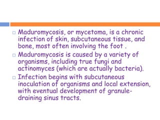    Maduromycosis, or mycetoma, is a chronic
    infection of skin, subcutaneous tissue, and
    bone, most often involving the foot .
   Maduromycosis is caused by a variety of
    organisms, including true fungi and
    actinomyces (which are actually bacteria).
   Infection begins with subcutaneous
    inoculation of organisms and local extension,
    with eventual development of granule-
    draining sinus tracts.
 