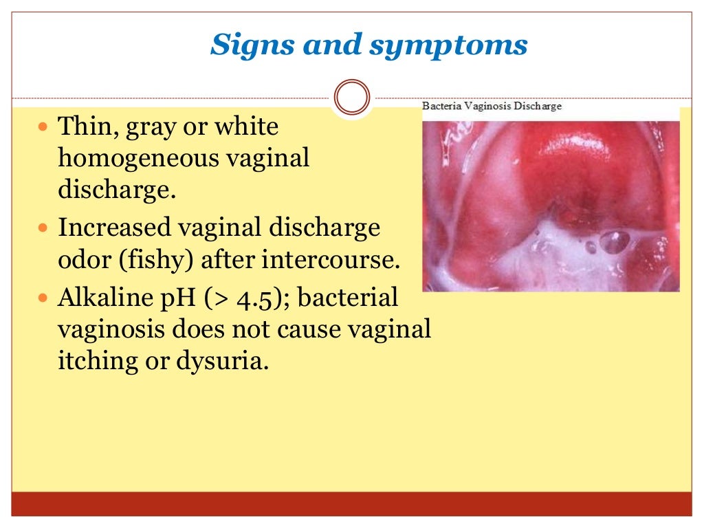 infections-during-pregnancy