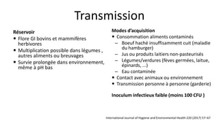 Infections gastro intestinales