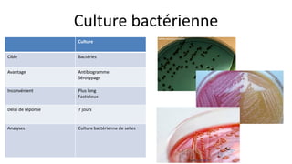 Culture bactérienne
Culture
Cible Bactéries
Avantage Antibiogramme
Sérotypage
Inconvénient Plus long
Fastidieux
Délai de r...
