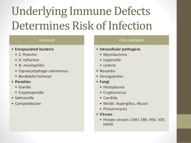 Infections in Immunocompromised Pts