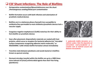  CSF Shunt Infections: The Role of Biofilms
• Perioperative contamination/Wound dehiscence over the shunt
/Hematogenous seeding/Distal port contamination
• Biofilm formation occurs with both infection and colonization of
prosthetic medical devices
• Biofilms are in a stationary phase of growth-less susceptible to
antibiotics/less permeable to most antibiotics/prosthetic devices lack a
vascular supply
• Coagulase-negative staphylococci (CoNS)-notorious for their ability to
form biofilm on prosthetic devices
• Soon after placement, bioprosthetic materials are coated with host
proteins, which serve as receptors for bacterial adhesins k/a “microbial
surface components recognizing adhesive matrix molecules,” or
MSCRAMMs- CoNS initiate biofilm formation almost immediately
• Transition state between planktonic and sessile bacteria in biofilms
known as quorum sensing
• Dormant microbes (sessile) within the biofilm are up to a 1000 times
more tolerant of [most] antimicrobial agents than their free-living
(planktonic)
S. epidermidis biofilm formation on a
catheter surface. Note the deposition of
extracellular matrix,manifested as a
complex web of material around and
between microcolonies
 