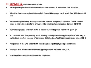  MICROGLIA; several different states
• Resting microglia -Small cells with few surface markers & prominent thin branches
• Stimuli activate microglia-Cellular debris from CNS damage, particularly free ATP- Ameboid
cells
• Receptors expressed by microglia includes Toll-like receptors/a cytosolic “alarm system”
exists in microglia in the form of nucleotide-binding oligomerization domain 2 (NOD2)
• NOD2 recognizes a common motif in bacterial peptidoglycan from both gram -/+
• NO synthesis and a respiratory burst, leading to the formation of peroxynitrite (ONOO−), a
highly toxic product capable of damaging both host and pathogen/superoxide anion (O2−)
• Phagocytes in the CNS under both physiologic and pathophysiologic conditions
• Microglia also produce factors that support glial and neuronal cells/APC
• Downregulate these proinflammatory responses
 