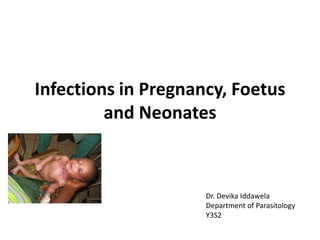 Infections in Pregnancy, Foetus
and Neonates
Dr. Devika Iddawela
Department of Parasitology
Y3S2
 
