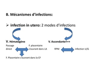 B. Mécanismes d’infections:

 infection in utero: 2 modes d’infections


V. Hématogène                             V. Ascendante+++
Passage               F. placentaire
direct                s’ouvrant dans LA       RPM            infection U/G


F. Placentaire s’ouvrant dans la CF
 
