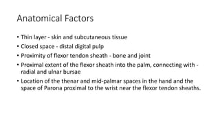 Infections of hand | PPTX