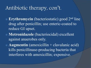 Antibiotic therapy, con’t.
 Erythromycin (bacteriostatic) good 2nd line
drug after penicillin; use enteric-coated to
reduce GI upset.
 Metronidazole (bacteriocidal) excellent
against anaerobes only.
 Augmentin (amoxicillin + clavulanic acid)
kills penicillinase-producing bacteria that
interferes with amoxicillin; expensive.
 