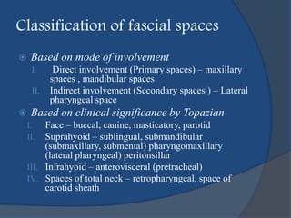 Classification of fascial spaces
 Based on mode of involvement
I. Direct involvement (Primary spaces) – maxillary
spaces , mandibular spaces
II. Indirect involvement (Secondary spaces ) – Lateral
pharyngeal space
 Based on clinical significance by Topazian
I. Face – buccal, canine, masticatory, parotid
II. Suprahyoid – sublingual, submandibular
(submaxillary, submental) pharyngomaxillary
(lateral pharyngeal) peritonsillar
III. Infrahyoid – anterovisceral (pretracheal)
IV. Spaces of total neck – retropharyngeal, space of
carotid sheath
 