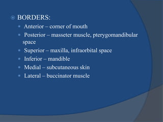  BORDERS:
 Anterior – corner of mouth
 Posterior – masseter muscle, pterygomandibular
space
 Superior – maxilla, infraorbital space
 Inferior – mandible
 Medial – subcutaneous skin
 Lateral – buccinator muscle
 
