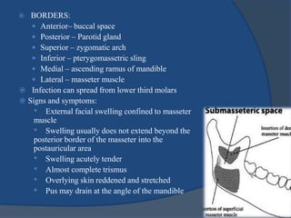 BORDERS:
 Anterior– buccal space
 Posterior – Parotid gland
 Superior – zygomatic arch
 Inferior – pterygomassetric sling
 Medial – ascending ramus of mandible
 Lateral – masseter muscle
 Infection can spread from lower third molars
 Signs and symptoms:
• External facial swelling confined to masseter
muscle
• Swelling usually does not extend beyond the
posterior border of the masseter into the
postauricular area
• Swelling acutely tender
• Almost complete trismus
• Overlying skin reddened and stretched
• Pus may drain at the angle of the mandible
 