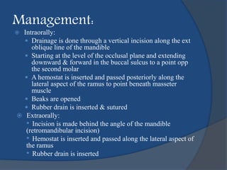 Management:
 Intraorally:
 Drainage is done through a vertical incision along the ext
oblique line of the mandible
 Starting at the level of the occlusal plane and extending
downward & forward in the buccal sulcus to a point opp
the second molar
 A hemostat is inserted and passed posteriorly along the
lateral aspect of the ramus to point beneath masseter
muscle
 Beaks are opened
 Rubber drain is inserted & sutured
 Extraorally:
• Incision is made behind the angle of the mandible
(retromandibular incision)
• Hemostat is inserted and passed along the lateral aspect of
the ramus
• Rubber drain is inserted
 