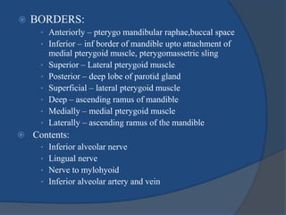  BORDERS:
• Anteriorly – pterygo mandibular raphae,buccal space
• Inferior – inf border of mandible upto attachment of
medial pterygoid muscle, pterygomassetric sling
• Superior – Lateral pterygoid muscle
• Posterior – deep lobe of parotid gland
• Superficial – lateral pterygoid muscle
• Deep – ascending ramus of mandible
• Medially – medial pterygoid muscle
• Laterally – ascending ramus of the mandible
 Contents:
• Inferior alveolar nerve
• Lingual nerve
• Nerve to mylohyoid
• Inferior alveolar artery and vein
 