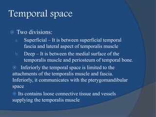 Temporal space
 Two divisions:
a. Superficial – It is between superficial temporal
fascia and lateral aspect of temporalis muscle
b. Deep – It is between the medial surface of the
temporalis muscle and periosteum of temporal bone.
 Inferiorly the temporal space is limited to the
attachments of the temporalis muscle and fascia.
Inferiorly, it communicates with the pterygomandibular
space
 Its contains loose connective tissue and vessels
supplying the temporalis muscle
 