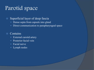 Parotid space
 Superficial layer of deep fascia
 Dense septa from capsule into gland
 Direct communication to parapharyngeal space
 Contains
 External carotid artery
 Posterior facial vein
 Facial nerve
 Lymph nodes
 