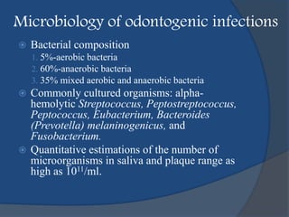 Microbiology of odontogenic infections
 Bacterial composition
1. 5%-aerobic bacteria
2. 60%-anaerobic bacteria
3. 35% mix...