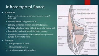 Infratemporal Space
 Etiology:
 Infected maxillary third molars.
 Infected needles or contaminated LA solution.
 Clini...