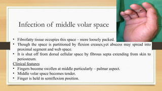 Infections of the hand | PPT