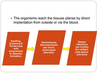 Infections of the hand(maheswari) | PPTX