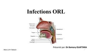 Infections ORL
1
Merci à Pr Tattevin
Présenté par: Dr Bamory OUATTARA
 
