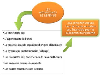 LES
MECANISMES
DE DEFENSE

               ces caractéristiques
             font de l’urine un milieu
              peu favorable pour la
             pullulation microbienne
 