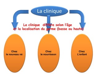 La clinique

            La clinique diffère selon l’âge
     et la localisation du germe (basse ou haute)




     Chez                 Chez                Chez
le nouveau né         le nourrisson          L’enfant
 