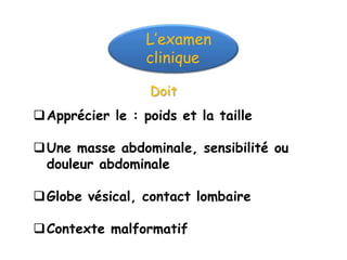 L’examen
                  clinique

                  Doit
 Apprécier le : poids et la taille

 Une masse abdominale, sensibilité ou
  douleur abdominale

 Globe vésical, contact lombaire

 Contexte malformatif
 