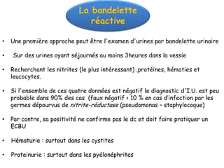 La bandelette
                                réactive

•   Une première approche peut être l'examen d'urines par bandelette urinaire

•   Sur des urines ayant séjournés au moins 3heures dans la vessie

•   Recherchant les nitrites (le plus intéressant) ,protéines, hématies et
    leucocytes.

•   Si l'ensemble de ces quatre données est négatif le diagnostic d'I.U. est peu
    probable dans 90% des cas (faux négatif < 10 % en cas d’infection par les
    germes dépourvus de nitrite-réductase (pseudomonas – staphylocoque)

•   Par contre, sa positivité ne confirme pas le dc et doit faire pratiquer un
    ECBU

•   Hématurie : surtout dans les cystites

•   Proteinurie : surtout dans les pyélonéphrites
 