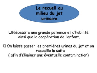 Le recueil au
                  milieu du jet
                     urinaire


    Nécessite une grande patience et d’habilité
       ainsi que la coopération de l’enfant.

On laisse passer les premières urines du jet et on
                   recueille la suite
  ( afin d’éliminer une éventuelle contamination)
 