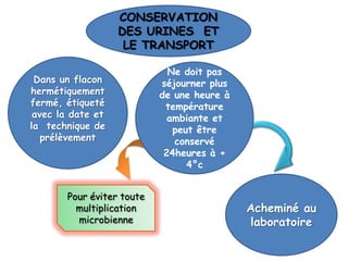 CONSERVATION
                   DES URINES ET
                    LE TRANSPORT

                             Ne doit pas
 Dans un flacon            séjourner plus
hermétiquement             de une heure à
fermé, étiqueté             température
 avec la date et             ambiante et
la technique de               peut être
   prélèvement                conservé
                            24heures à +
                                 4°c


       Pour éviter toute
         multiplication                     Acheminé au
         microbienne                        laboratoire
 