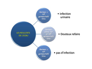 Germes ≥
                    105             • infection
                germes/milli           urinaire
                   litre




                       Germes
                      entre 104
LES RESULTATS
  DE L’ECBU
                        et 105      • Douteux refaire
                     germes/milli
                         litre




                 Germes ≤
                    104
                germes/milli    • pas d’infection
                   litre
 