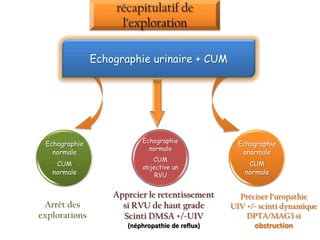 Echographie urinaire + CUM




                          Echographie
 Echographie                                       Echographie
                            normale
   normale                                          anormale
                              CUM
    CUM                    objective un
                                                      CUM
   normale                     RVU                   normale


                   Apprcier le retentissement      Préciser l’uropathie
 Arrêt des           si RVU de haut grade        UIV +/- scinti dynamique
explorations         Scinti DMSA +/-UIV              DPTA/MAG3 si
                      (néphropathie de reflux)         obstruction
 
