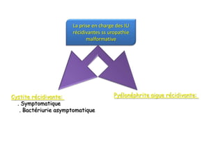 La prise en charge des IU
                      récidivantes ss uropathie
                            malformative




Cystite récidivante:                    Pyélonéphrite aigue récidivante:
  . Symptomatique
   . Bactériurie asymptomatique
 