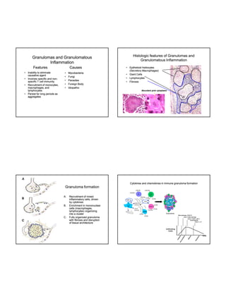 Histologic features of Granulomas and
Granulomatous Inflammation

Granulomas and Granulomatous
Inflammation
Features
•
•
•

•

Inability to eliminate
causative agent
Involves specific and nonnonspecific T cell immunity
Recruitment of monocytes,
macrophages, and
lymphocytes
Persist for long periods as
aggregates

Causes
•
•
•
•
•

Mycobacteria
Fungi
Parasites
Foreign Body
Idiopathic

•
•
•
•

Epithelioid histiocytes
(Secretory Macrophages)
Giant Cells
Lymphocytes
Fibrosis

Abundant pink cytoplasm

Cytokines and chemokines in immune granuloma formation

Granuloma formation
A.

B.

C.

Recruitment of mixed
inflammatory cells, driven
by cytokines
Enrichment in mononuclear
(
p g ,
cells (macrophages,
lymphocytes) organizing
into a cluster
Fully organized granuloma
with fibrosis and disruption
of tissue architecture

 