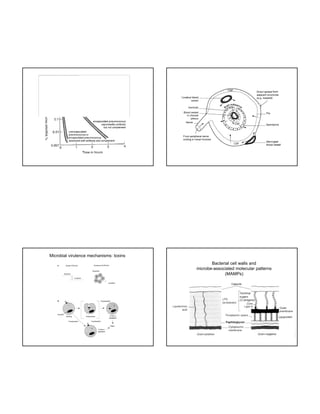 The image cannot be display ed. Your computer may not hav e enough memory to open the image, or the image may hav e been corrupted. Restart y our computer, and then open the file again. If the red x still appears, y ou may hav e to delete the image and then insert it again.

Microbial virulence mechanisms: toxins
Bacterial cell walls and
microbe-associated molecular patterns
(MAMPs)

 