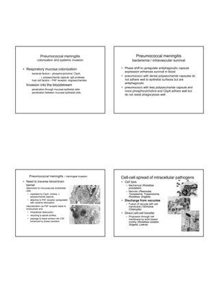 Pneumococcal meningitis

Pneumococcal meningitis

colonization and systemic invasion

bacteremia / intravascular survival

• Respiratory mucosa colonization
bacterial factors – phosphorylcholine, CbpA;
 polysaccharide capsule; IgA protease
host ll factors – PAF receptor; oligosaccharides
h t cell f t
t
li
h id

• Invasion into the bloodstream
penetration through mucosal epithelial cells
penetration between mucosal epithelial cells

Pneumococcal meningitis - meningeal invasion
• Need to traverse blood-brain
barrier
attachment to microvascular endothelial
cells
• mediated by CbpA, choline, 
polysaccharide capsule
• attaches to PAF receptor upregulated
with cytokine stimulation
internalization via PAF receptor leads to
endocytosis and:
• intracellular destruction
• recycling to apical surface
• passage to basal surface into CSF
enhanced by phase transition

• Phase shift to upregulate antiphagocytic capsule
expression enhances survival in blood
• pneumococci with dense polysaccharide capsules do
not adhere well to epithelial surfaces but are
antiphagocytic
• pneumococci with less polysaccharide capsule and
more phosphorylcholine and CbpA adhere well but
do not resist phagocytosis well

Cell-cell spread of intracellular pathogens
• Cell lysis
– Mechanical (Rickettsia
prowazekii)
– Necrotic (Plasmodia,
Toxoplasma, Trypanosoma,
Rickettsia, Shigella)

• Discharge from vacuoles
– Fusion of vacuole with cell
f
membrane (?Ehrlichia,
Chlamydia)

• Direct cell-cell transfer
– Propulsion through cell
membrane by actin-based
motility (Rickettsia rickettsii,
Shigella, Listeria)

 