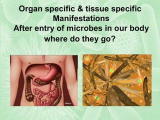 Infectious agents | PPTX