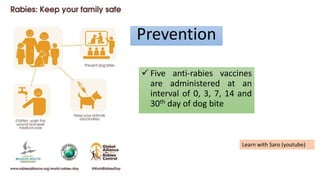 Prevention
 Five anti-rabies vaccines
are administered at an
interval of 0, 3, 7, 14 and
30th day of dog bite
Learn with Saro (youtube)
 