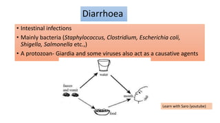 Diarrhoea
• Intestinal infections
• Mainly bacteria (Staphylococcus, Clostridium, Escherichia coli,
Shigella, Salmonella etc.,)
• A protozoan- Giardia and some viruses also act as a causative agents
Learn with Saro (youtube)
 