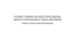 A SHORT VOYAGE ON INFECTIOUS DISEASE
AGENTS IN PATHOLOGIC TISSUE SPECIMENS
Professor N Engin AYDIN, MD Pathologist
 