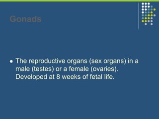 Gonads
 The reproductive organs (sex organs) in a
male (testes) or a female (ovaries).
Developed at 8 weeks of fetal life.
 